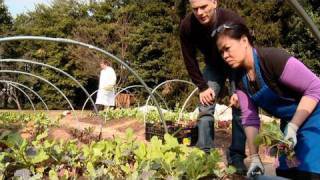 Harvesting the Winter Garden [upl. by Lugo]