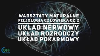 Fizjologia człowieka cz2 • Off Course Warsztaty maturalne z biologii [upl. by Hillegass]