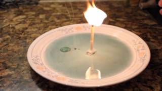 7 Simple Science Tricks With Household Items [upl. by Nilram]