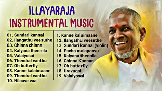 Ilayaraja Instrumental Music amp BGMs  ilayaraja instrumental music collectionFlute Violin veenai [upl. by Urdna]