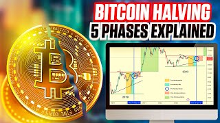 5 Phases of the Bitcoin Halving  Ultimate Guide For 2024 [upl. by Raynard]