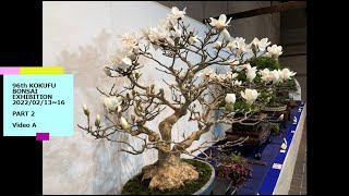 96th KOKUFU TEN BONSAI EXHIBITION 2022 021316 Part 2 video A 第96回国風盆栽展（後期）ビデオ A [upl. by Samoht783]