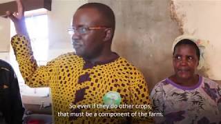 Improving Income and Livelihoods of Rural Communities in East Africa with Organic Agriculture [upl. by Ydiarf]