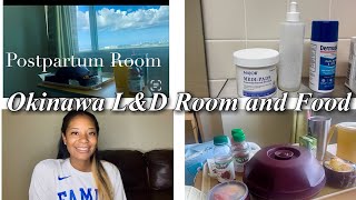 Camp Foster Naval Hospital  LampD Postpartum Room Tour  Okinawa Japan [upl. by Lilllie]