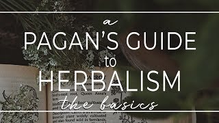 A Pagans Guide to Herbalism II What is Herbalism A Brief History amp its Connection to Paganism [upl. by Shena]