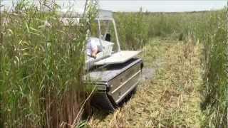 Marsh Master MM2C Cutting Phragmites [upl. by Jamil]