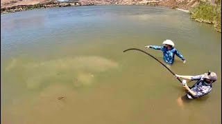 The BIGGEST FRESHWATER FISH CAUGHT ON YOUTUBE 600 LBS [upl. by Delastre]