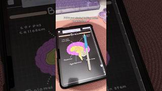 iPad note taking Dark mode 💗 aesthetic digital notes  take notes with me  iPad accessories  study [upl. by Armalda660]