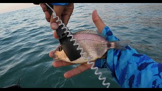 Dalgalı Denizde Belly Boat ile LRF Avı fish lrf ajing bellyboat floattube fishing [upl. by Dewhirst]