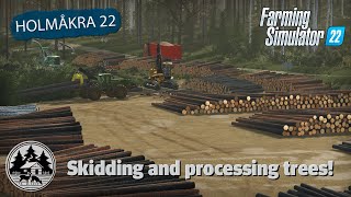 MAKING THE BIGGEST LANDING EVER  FS22  Forestry  Holmåkra 22  Timelapse  E12 [upl. by Aicirtam]