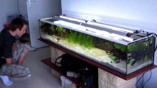 aquarium amazonien 240L [upl. by Claybourne]