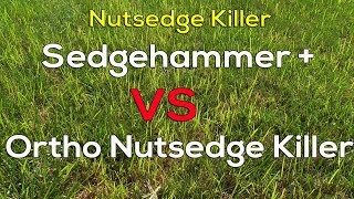 Best Nutsedge Weed killer for Your Lawn [upl. by Tessler]