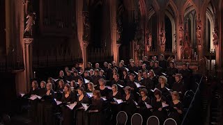 Barber  AGNUS DEI arr Adagio for Strings  Laurens Symfonisch  LIVE [upl. by Oiliduab862]