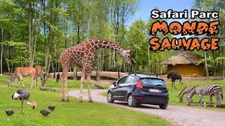 Safari Park Monde Sauvage  Belgium [upl. by Derfliw]