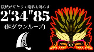 MHWIPS5 歴戦王ネルギガンテ 大剣ソロ 234quot85 破滅が来りて喇叭を鳴らすArch Tempered Nergigante Greatsword Solo [upl. by Gautious309]