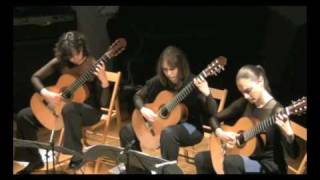 Athenaeum Guitar Trio L Boccherini Introduction and Fandango [upl. by Aicnerolf]