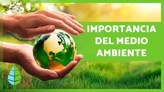 La IMPORTANCIA de CUIDAR el MEDIO AMBIENTE 🌏🌿 [upl. by Ahtabbat581]