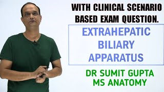 Bile Pathways and the Enterohepatic Circulation Animation [upl. by Weed]