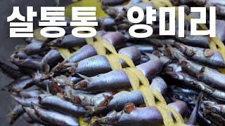 맛있는 양미리 고르는 법mp4  백옥자 할미의 양미리조림 레시피🐟 [upl. by Vallo]