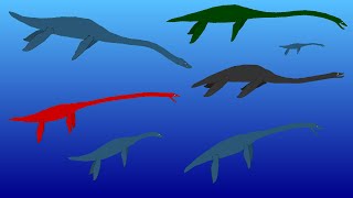 Sea Monsters  Plesiosaur Size Comparison  Extinct Plesiosaurus [upl. by Rotkiv640]