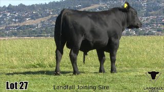 Lot 027 Landfall Rostella TFA22T131 [upl. by Follmer]