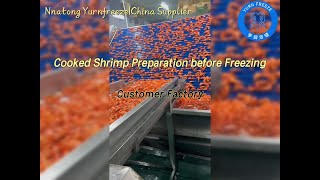 Cooked Shrimp Preparation before Freezing [upl. by Phelgen]