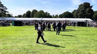 European Pipe Band Championships 2024  Grade 2 Medley  Portlethen and District [upl. by Francis]