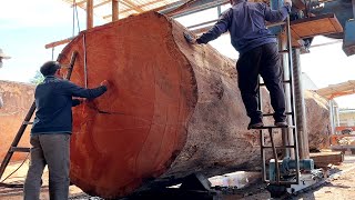 The Worlds Largest Wood Factory  How Will You Process This Giant Tree [upl. by Aihsiyt]