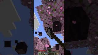 DONT leave them hanging minecraft minecraftfail minecrafthumor [upl. by Jodoin]