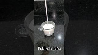 Kefir contém Lactobacillus casei shirota [upl. by Gian481]