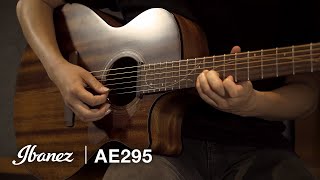 Ibanez AE295 Acoustic Guitar [upl. by Bowen]