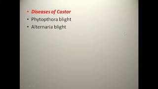 Phytophthora and Alterneria Blight of Castor [upl. by Acey694]