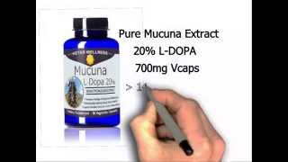 Mucuna pruriens Review  LDopa  A Superfood and Ayurvedic Herb [upl. by Joye]