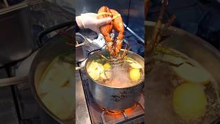 Boiling Lobster boiling lobster [upl. by Esorylime361]