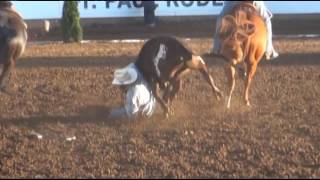 2016 St Paul Rodeo Highlights [upl. by Erdei]