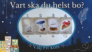 Vart ska du helst bo 🏡🏝️🌍✨TAROT✨PICK A CARD 💫 Tidlöst [upl. by Paddie]