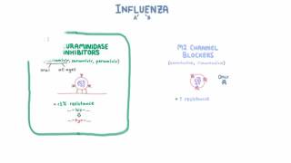 Influenza Treatment  Medications and Criteria for Treatment [upl. by Sibylla]