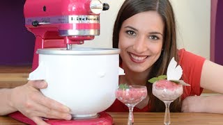 DIY selbst gemachtes Eis  cremiges Fruchteis und 1MinuteEis  Teil 1  Sallys Welt [upl. by Narej]