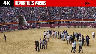 💥 TOROS EN LOS PUEBLOS TEMPORADA 2022 [upl. by Anerul549]