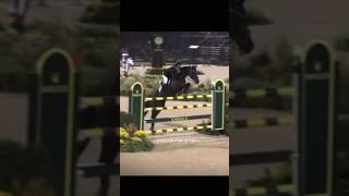 THE BEST EQUESTRIAN EDIT EVER horses equestrian trending cantering showjumpinghorse [upl. by Peltier521]