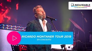 Así fue el concierto de Ricardo Montaner Tour 2019  Lima Perú [upl. by Carlota]