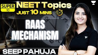 Super 10  RAAS Mechanism  Excretory Products and their Elimination  NEET 2024  Seep Pahuja [upl. by Kallman]