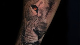 COMO TATUAR TEXTURAS de pelaje  como tatuar un león realista [upl. by Adnomal]