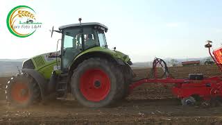 Claas Axion 820  Väderstad Rapid 300S  Sejba Soja  2022 [upl. by Engeddi]