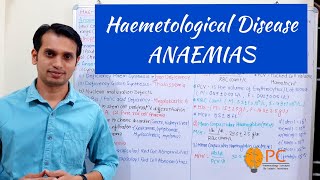 Haematological Diseases Anaemia Pathophysiology [upl. by Rob]