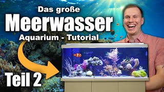 Das Meerwasseraquarium TUTORIAL Teil 2  Fische Wasserwerte Dosierung LOWBUDGET [upl. by Aiotal593]