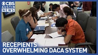 DACA recipients report slower renewal of permits as immigrant wave swamps system [upl. by Alethia]