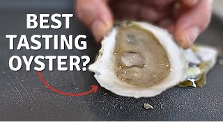 Oyster Taste Test  WEST Coast vs EAST Coast [upl. by Aihsenek]