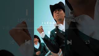 Avance Los Machos De La Cumbia  Ilegal 🤠🎶 rancheras musicachilena mastermedia ilegal [upl. by Elvira]