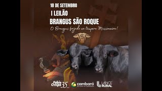 I Leilão Brangus São Roque [upl. by Notxarb]